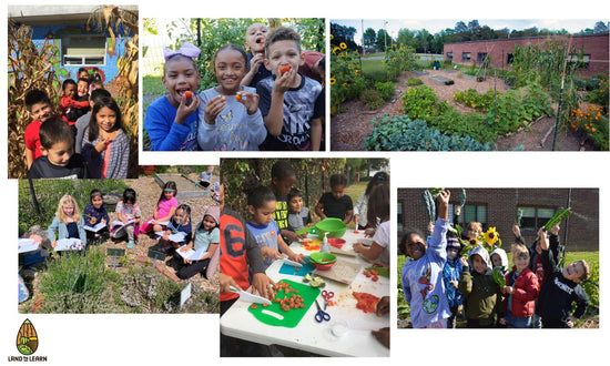 Land to Learn School Food Gardens