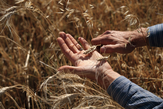 Family Owned | Meet the Nature's Path Family