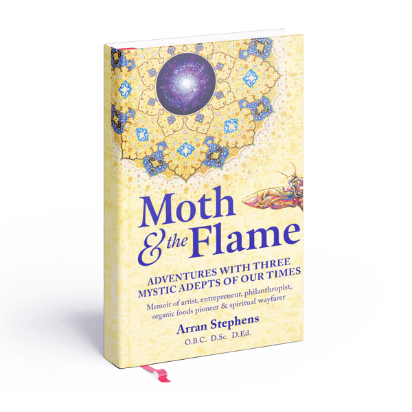 Moth & the Flame (Hardcover Book)