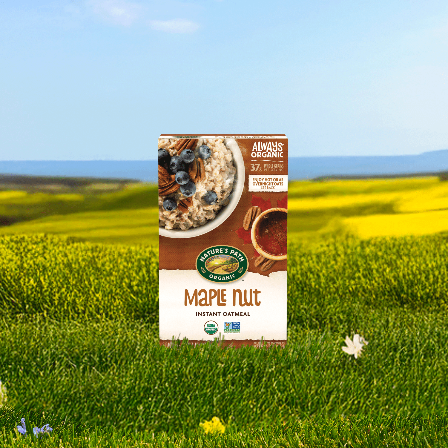 Maple-Nut-Instant-Oatmeal_058449450030