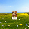 Maple_Nut_Instant_Oatmeal_058449450030-45038