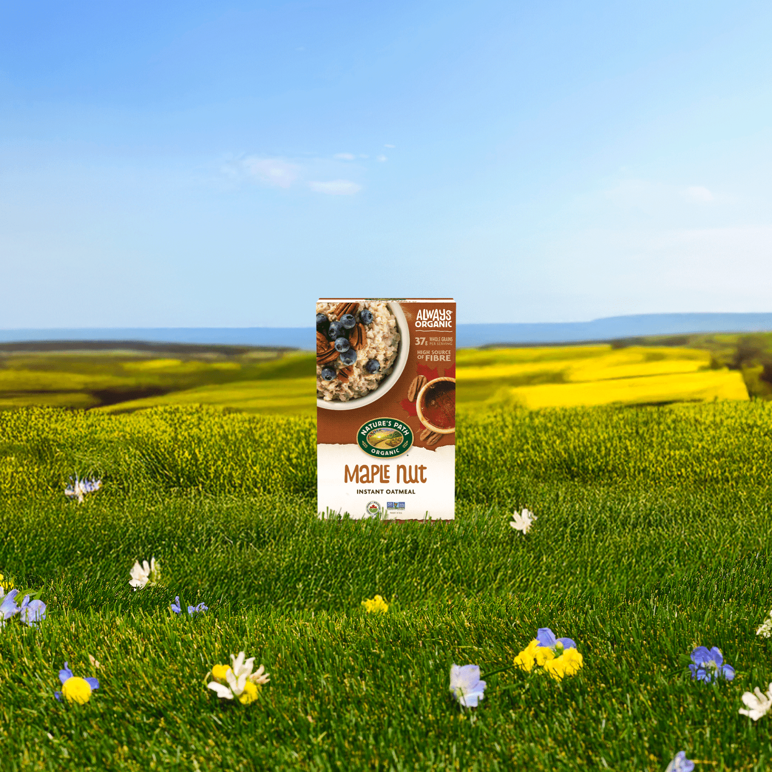 Maple_Nut_Instant_Oatmeal_058449450030-45038