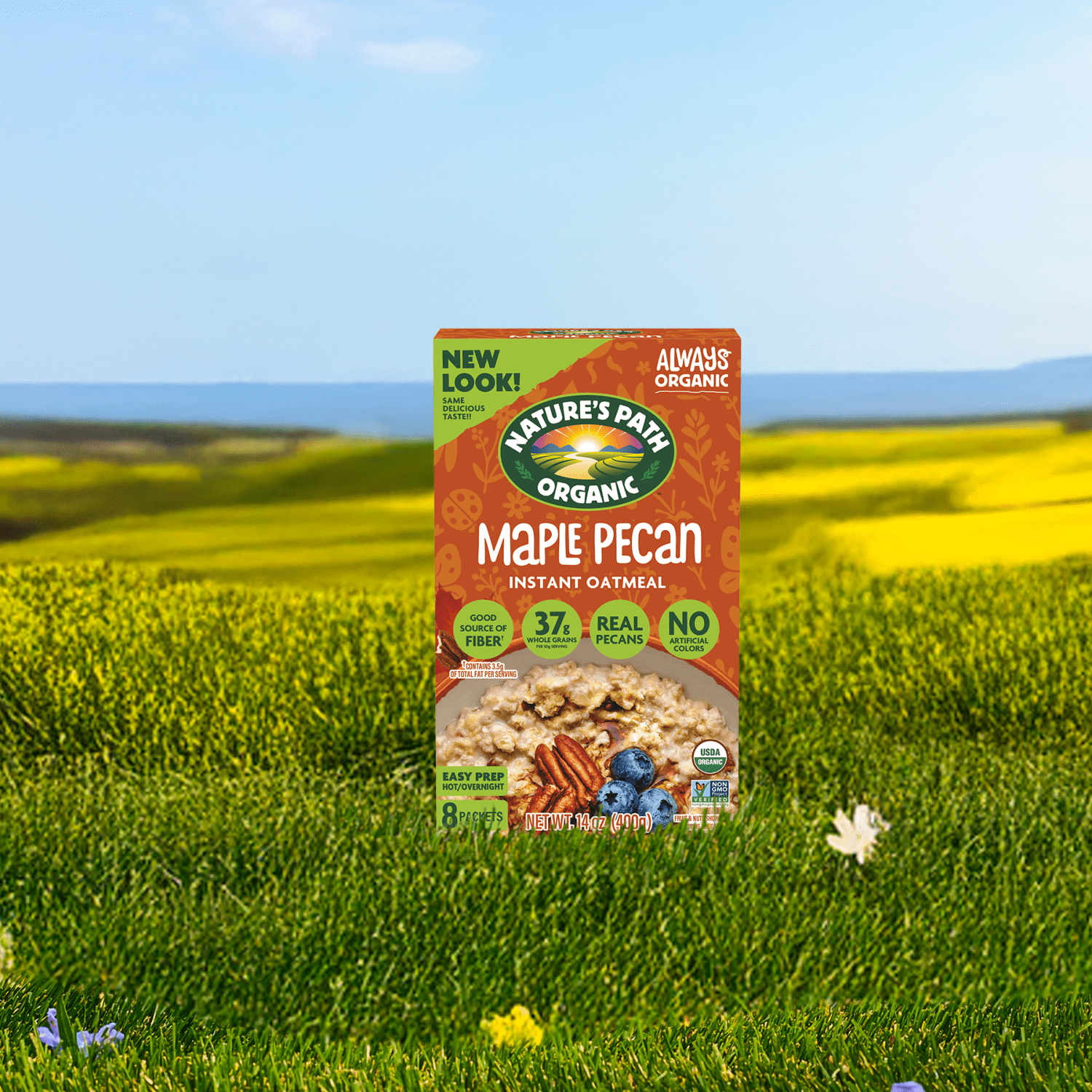 Maple_Nut_Instant_Oatmeal_058449450030-45047U