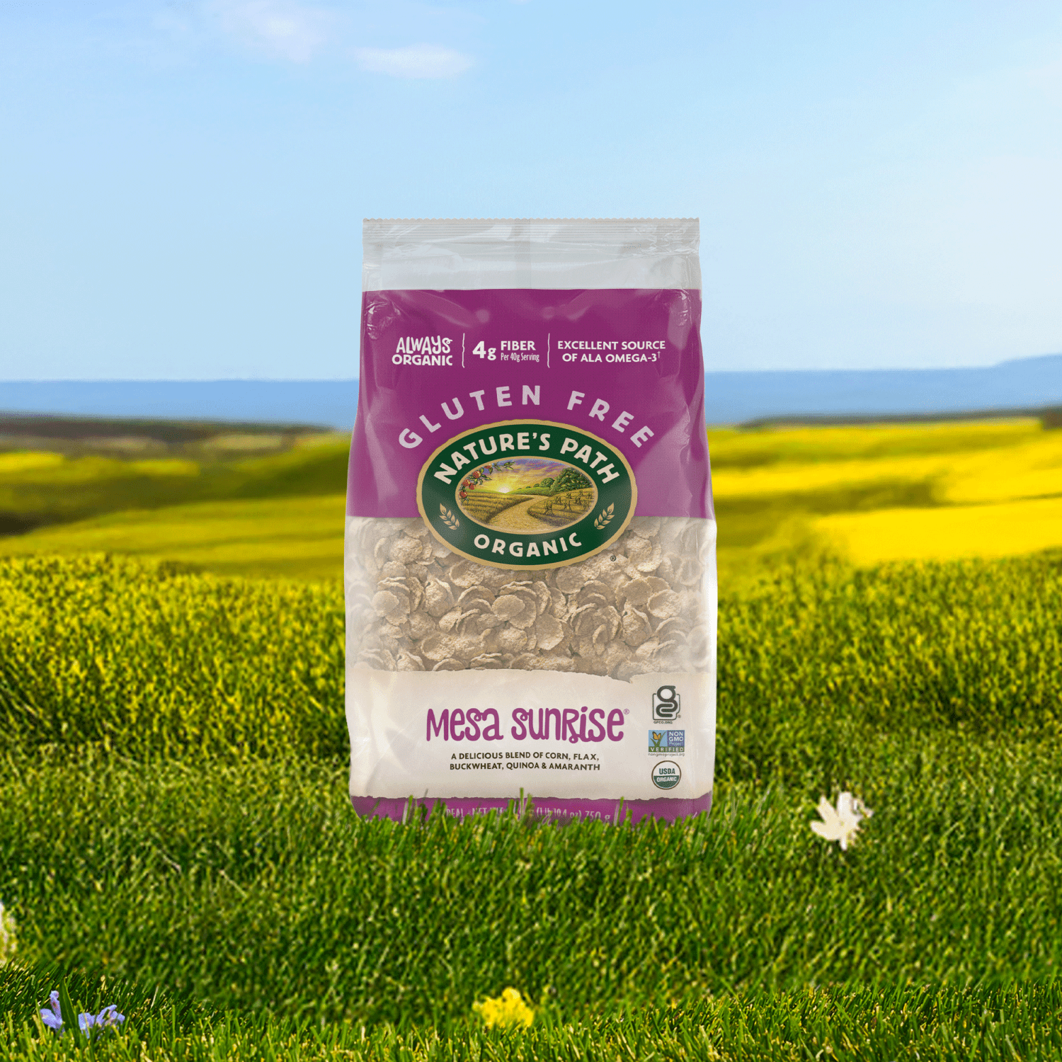 Mesa_Sunrise_Cereal_058449779018-77901U