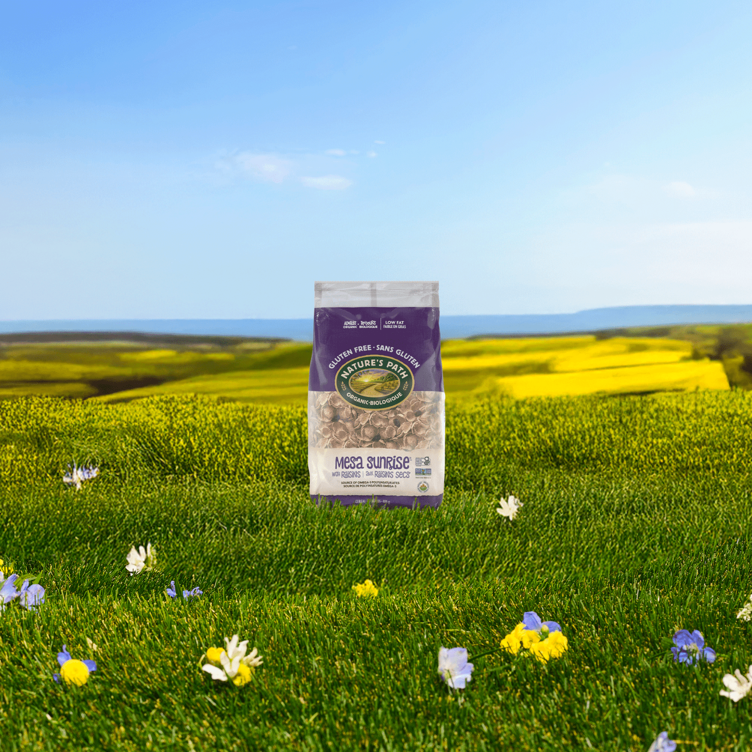 Mesa_Sunrise_with_Raisins_Cereal_058449771616-77161