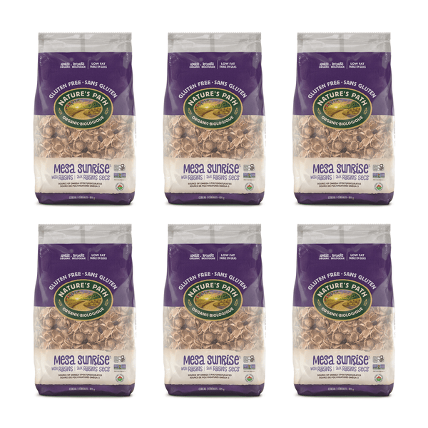 Nature's Path Organic Mesa Sunrise with Raisins Gluten Free Cereal