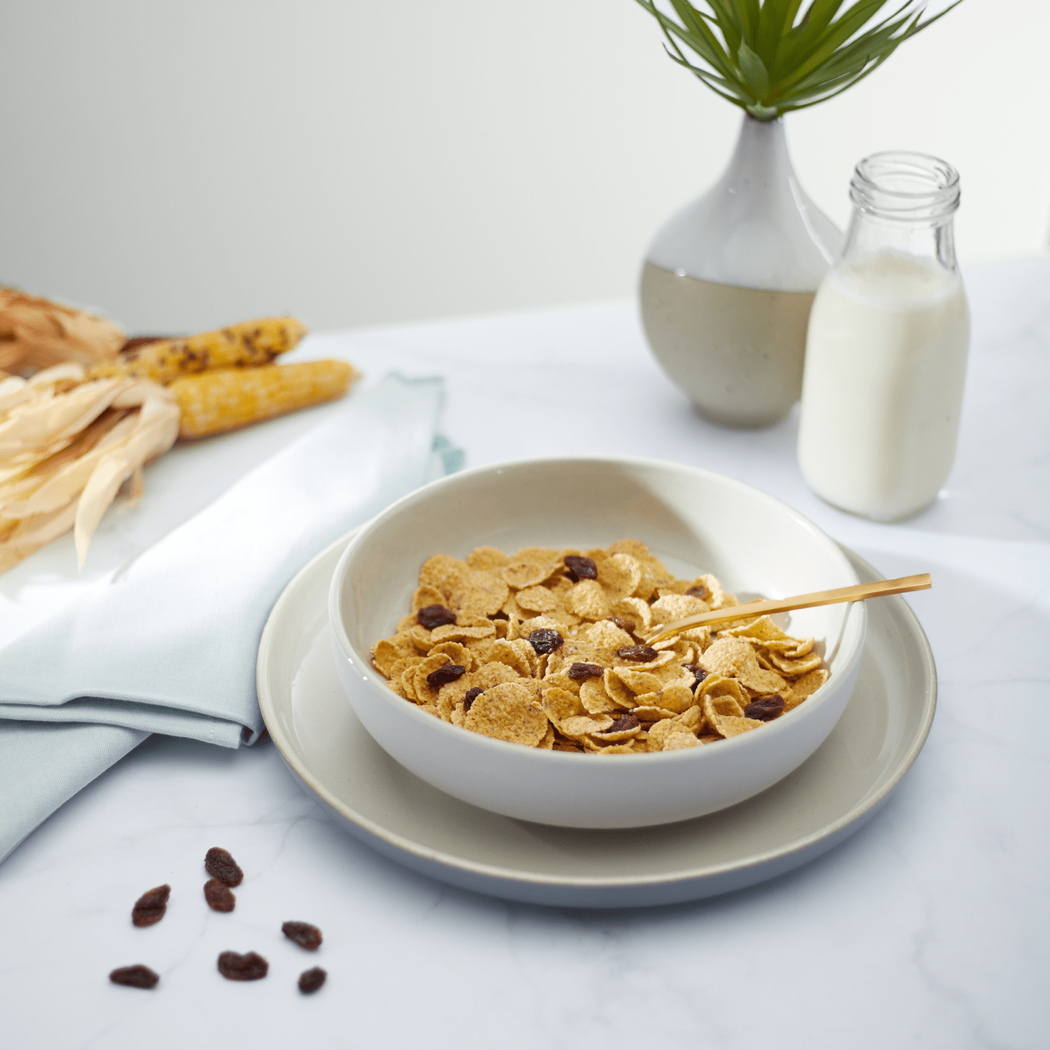 Mesa_Sunrise_with_Raisins_Cereal_058449771623-77162U