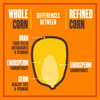 Nacho_Tortilla_Chips_068826166171-166173