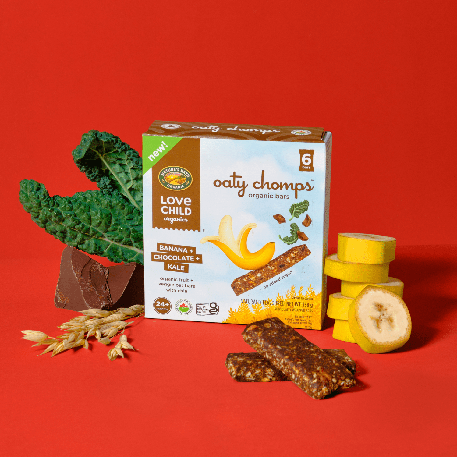 Oaty_Chomps_Banana_plus_Chocolate_plus_Kale_Snack_Bar_058449252900-25290
