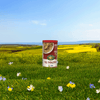 Old-Fashioned-Oats-Oatmeal_729906410026