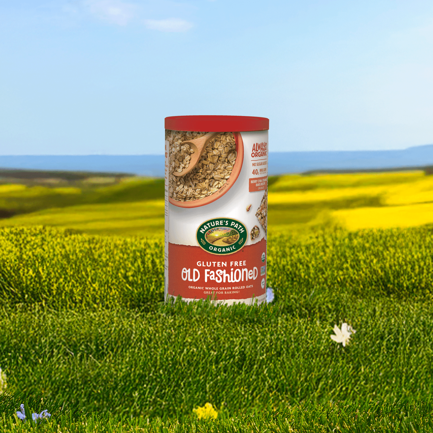 Old_Fashioned_Oats_Gluten_Free_Oatmeal_729906510016-51001CU2
