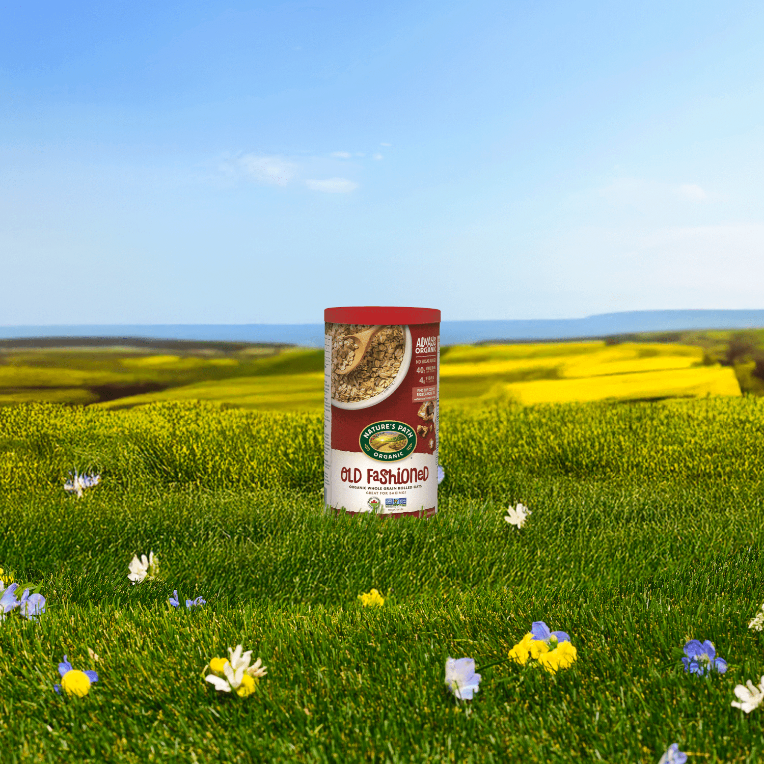 Old_Fashioned_Oats_Oatmeal_729906410026-41002CC2