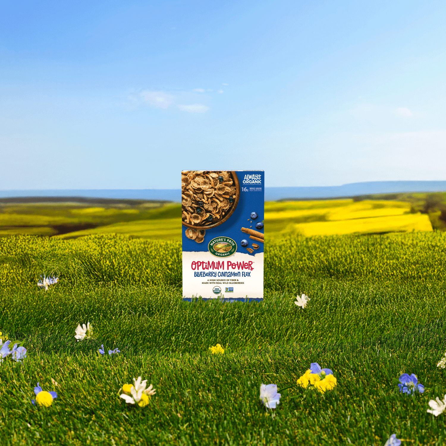 Optimum_Power_Blueberry_Cinnamon_Flax_Cereal_058449777007-77700U