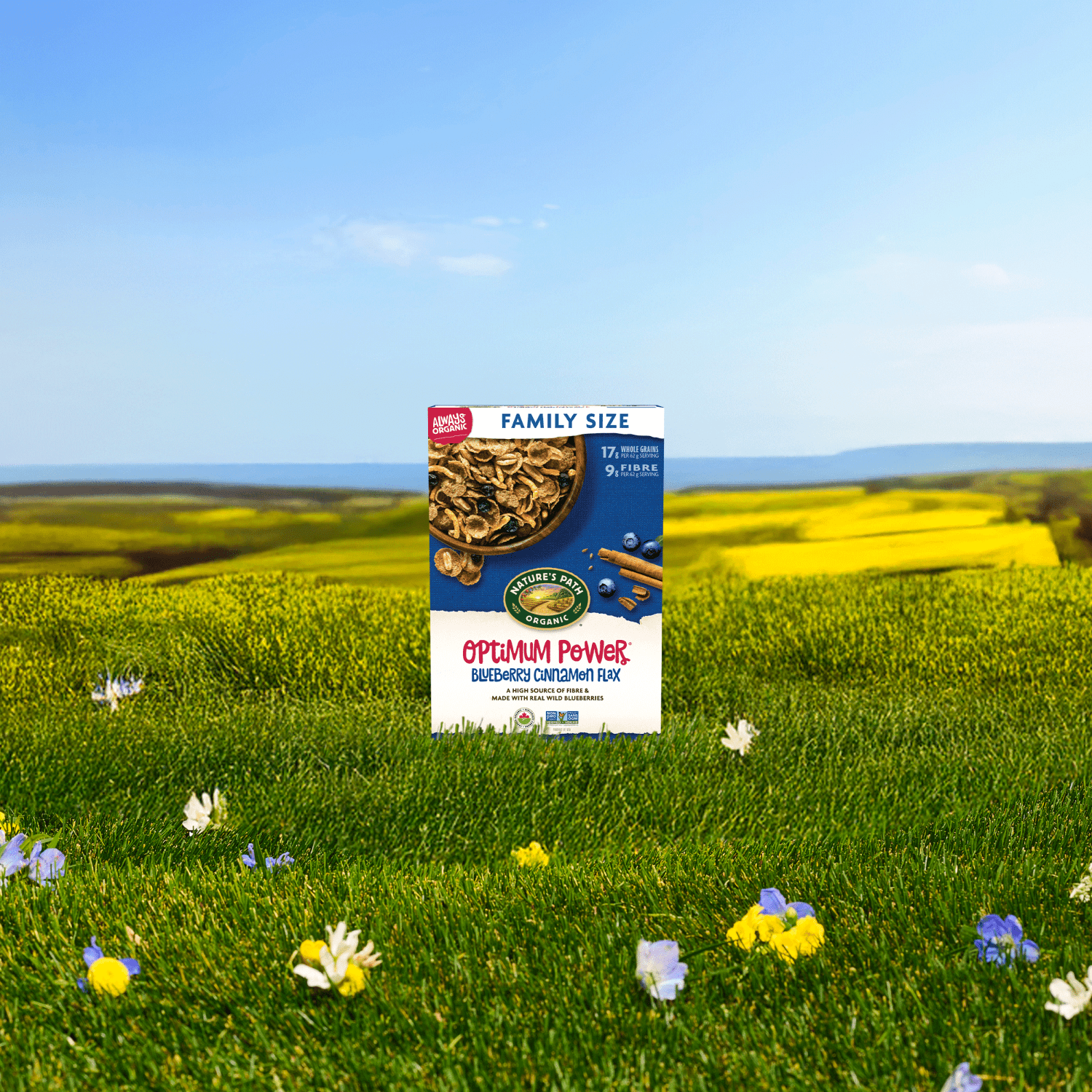 Optimum_Power_Blueberry_Cinnamon_Flax_Cereal_058449777069-77758