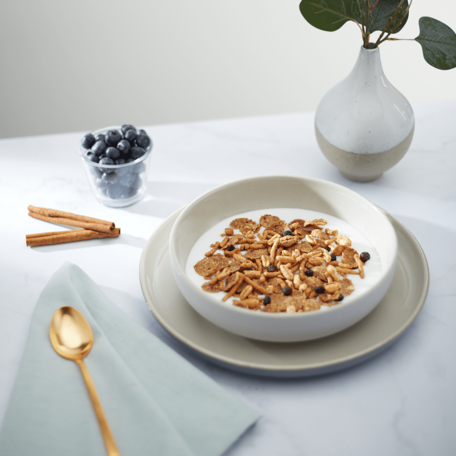 Optimum_Power_Blueberry_Cinnamon_Flax_Cereal_058449777069-77758