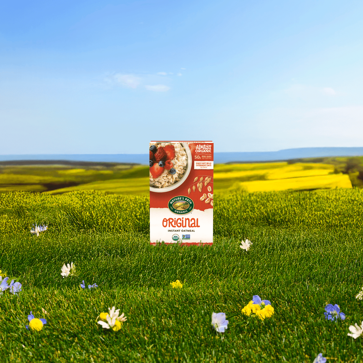 Original-Instant-Oatmeal_058449450016