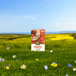 Original_Instant_Oatmeal_058449450016-45036