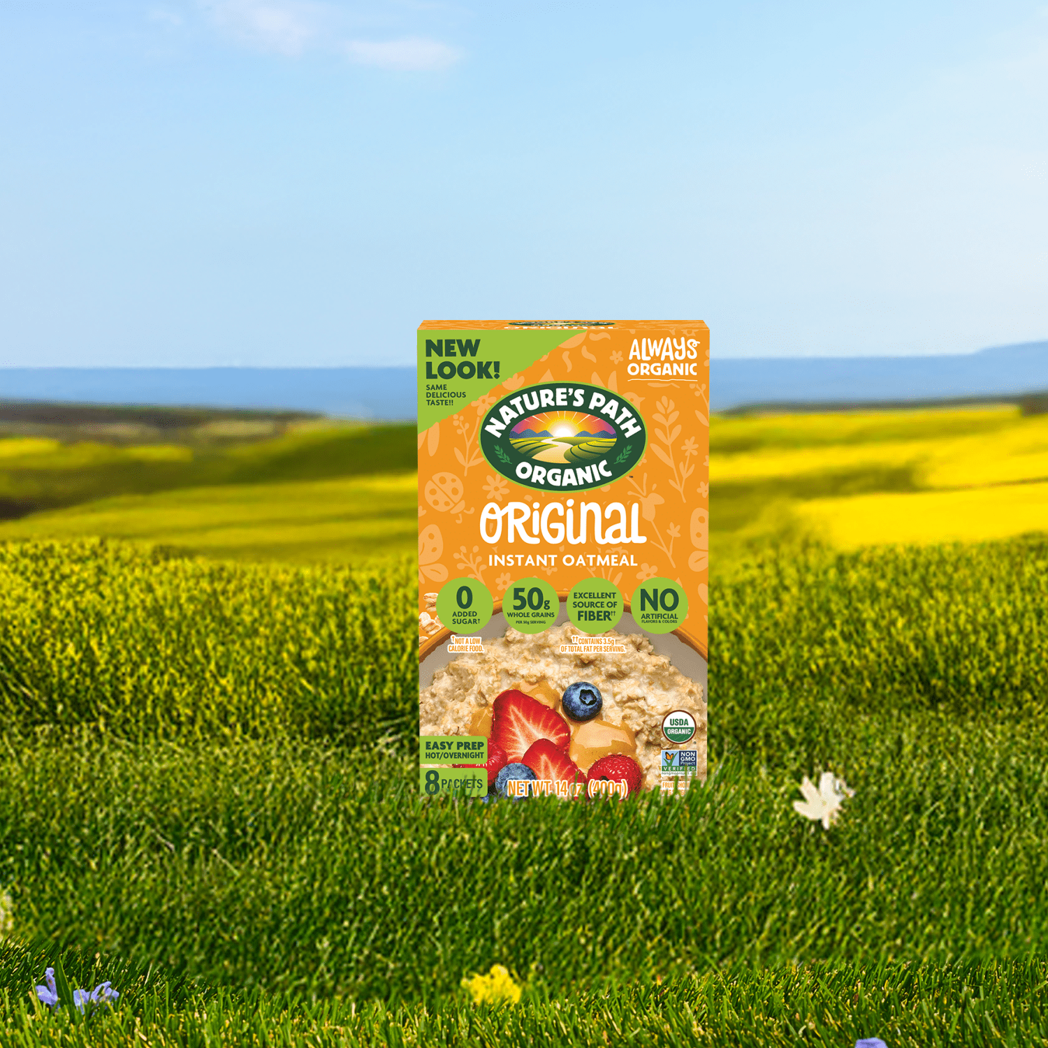 Original_Instant_Oatmeal_058449450016-45045U