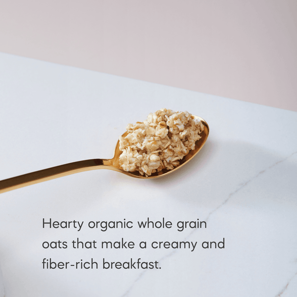 Nature's Path Organic Original Instant Oatmeal