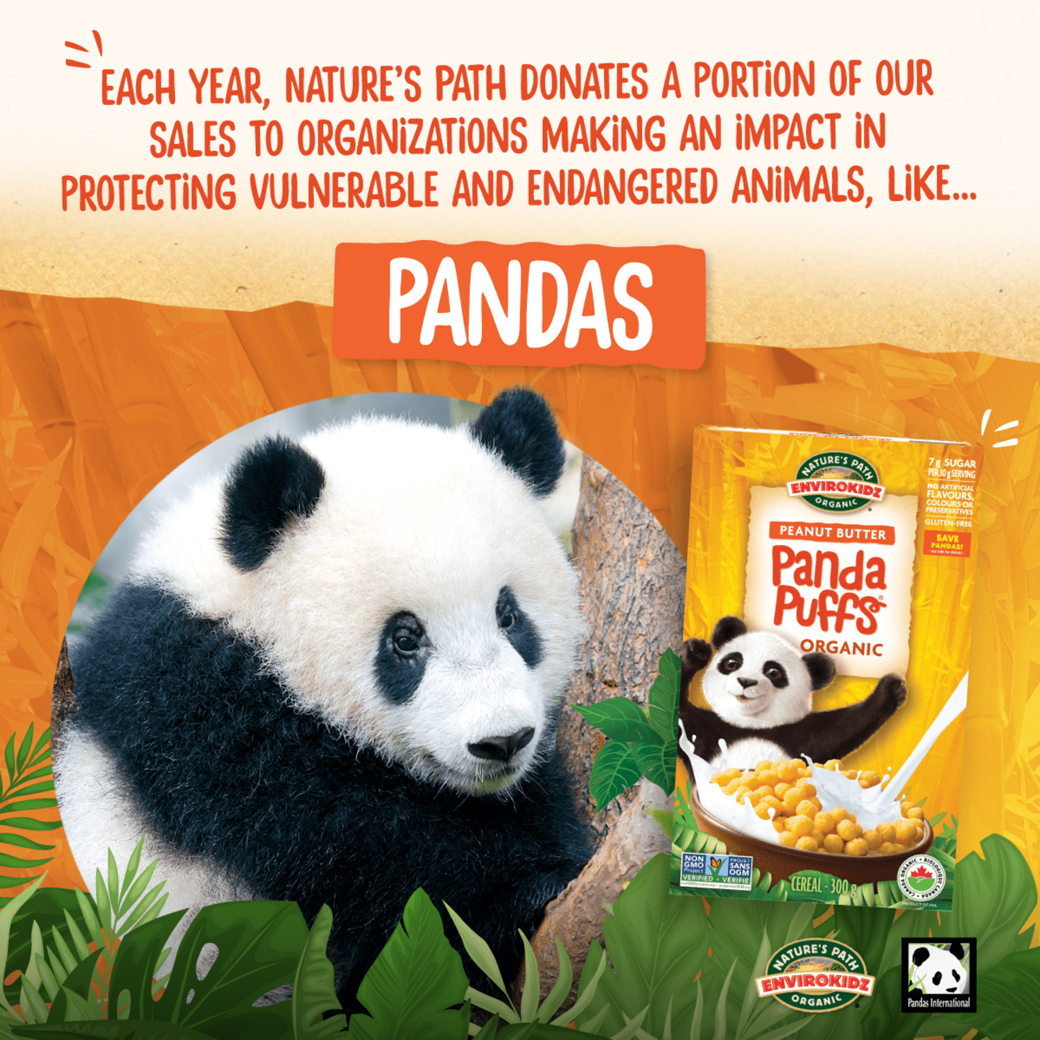 Panda_Puffs_Cereal_058449860044-86004