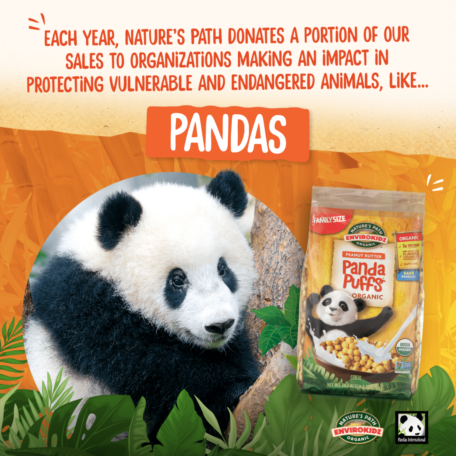 Panda_Puffs_Cereal_058449870128-87012U