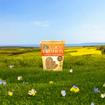 Peanut_Butter_Protein_Granola_058449251309-25130