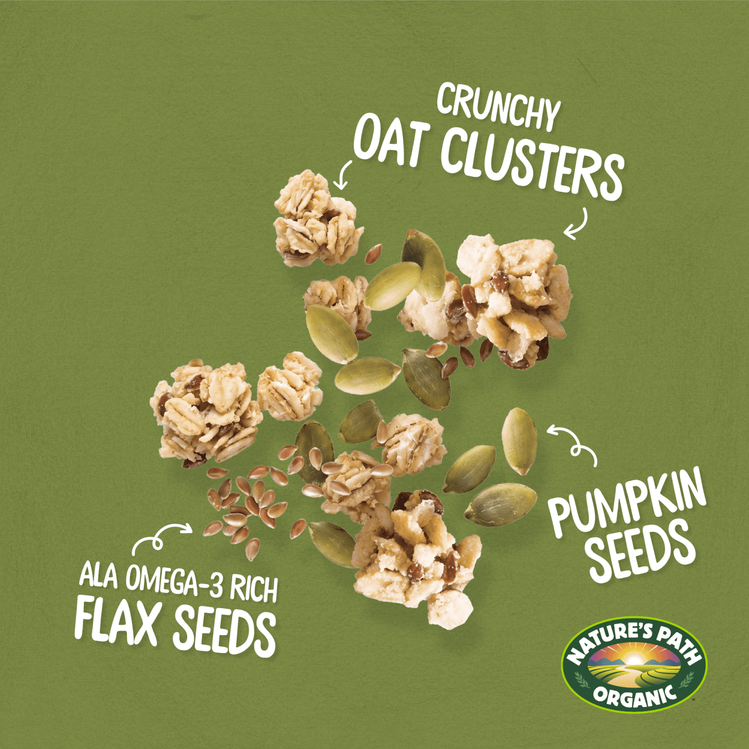 Pumpkin_Seed_plus_Flax_Granola_058449211488