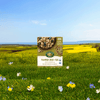 Pumpkin_Seed_plus_Flax_Granola_058449890072-89007U