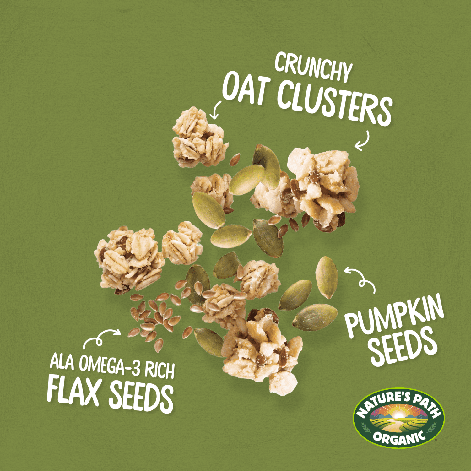 Pumpkin_Seed_plus_Flax_Granola_058449890072-89007U