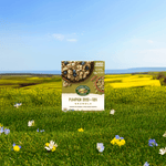Pumpkin_Seed_plus_Flax_Granola_058449890072-89007