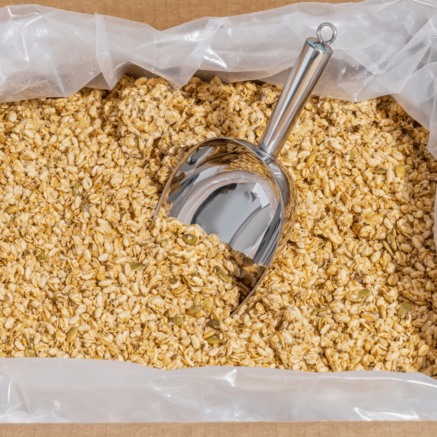Pumpkin_Seed_plus_Flax_Granola_Bulk_Box_10058449880070-88007U
