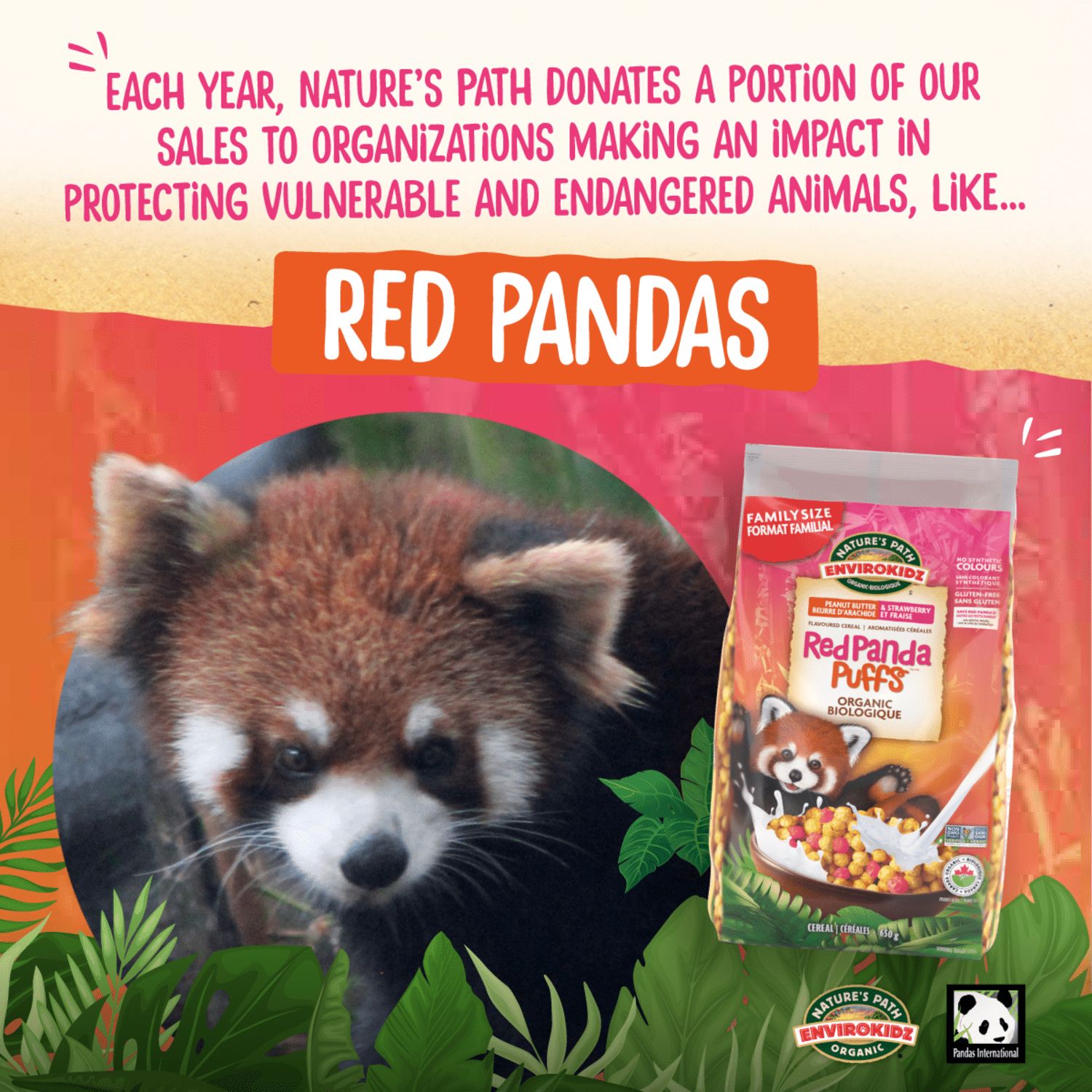 Red_Panda_Puffs_Cereal_058449241126-24112