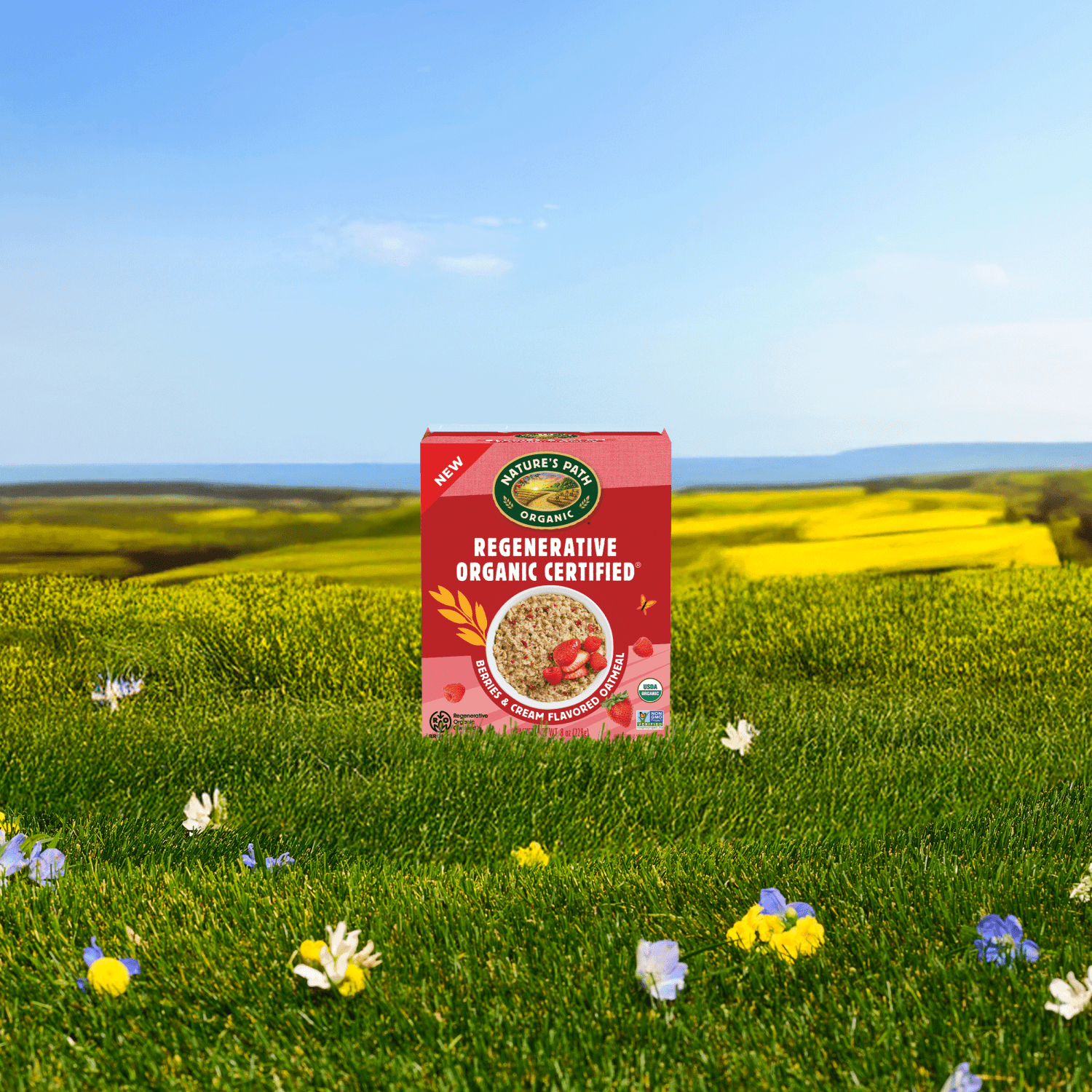 Regenerative-Organic-Certified-Berries-and-Cream-Instant-Oatmeal_058449241898