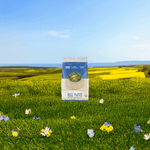 Rice_Puffs_Cereal_058449620013-62001U