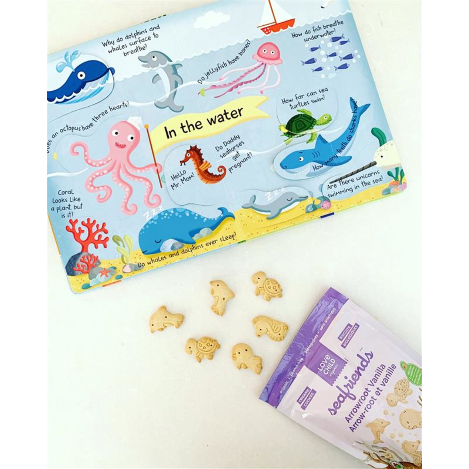 Sea_Friends_Arrowroot_Vanilla_Cookies_858860001916-24306