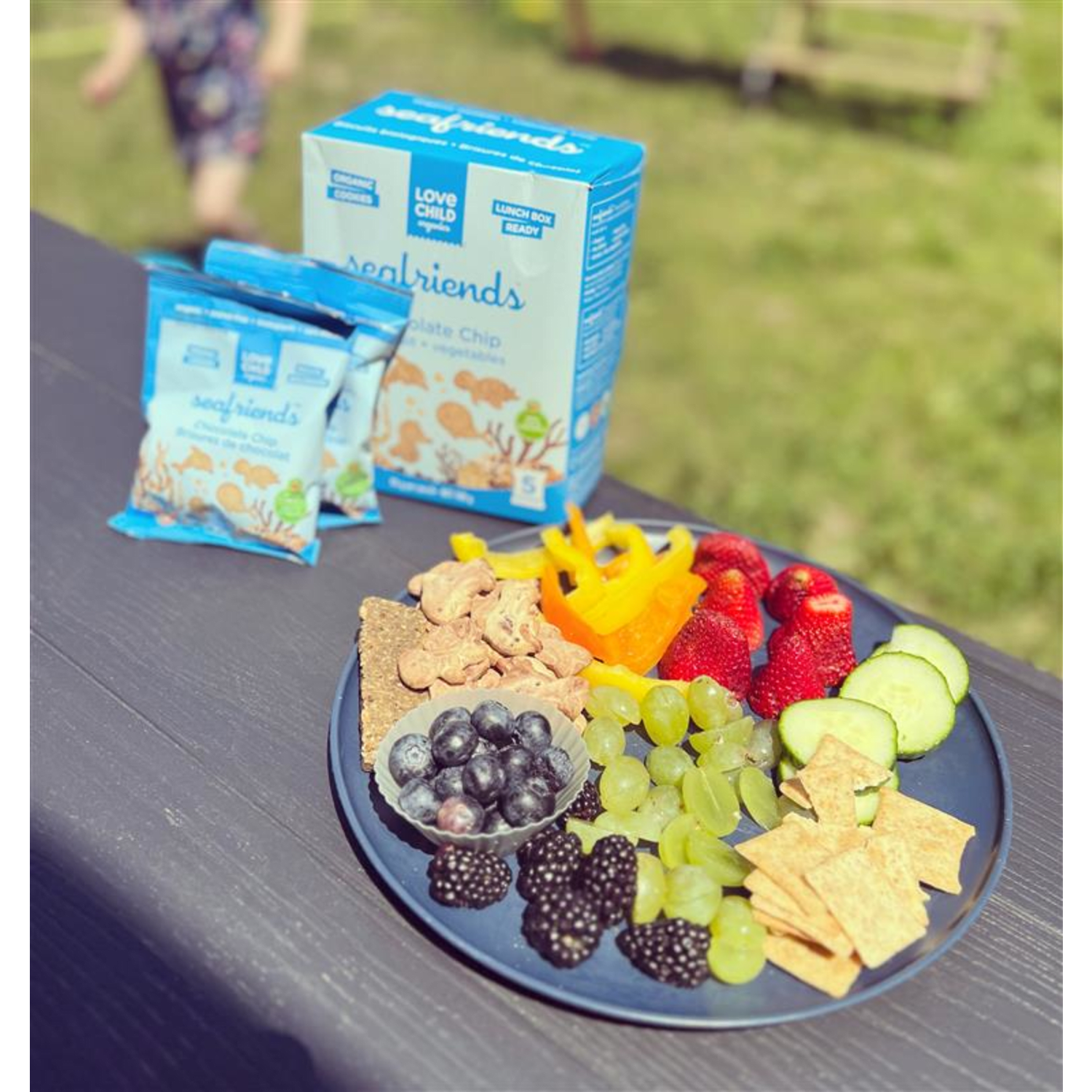 Sea_Friends_Chocolate_Chip_Cookies_858860001954-24305