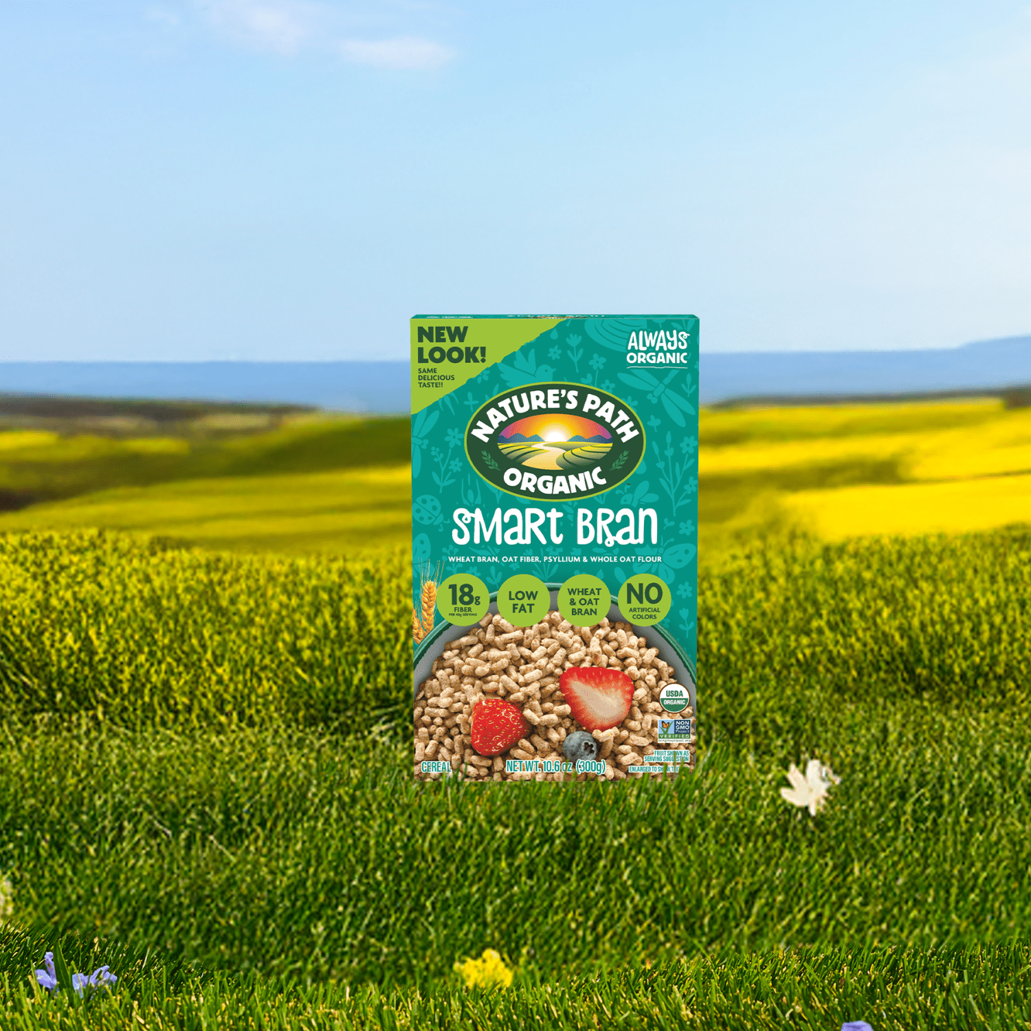 Smart_Bran_Cereal_058449771036-77103U