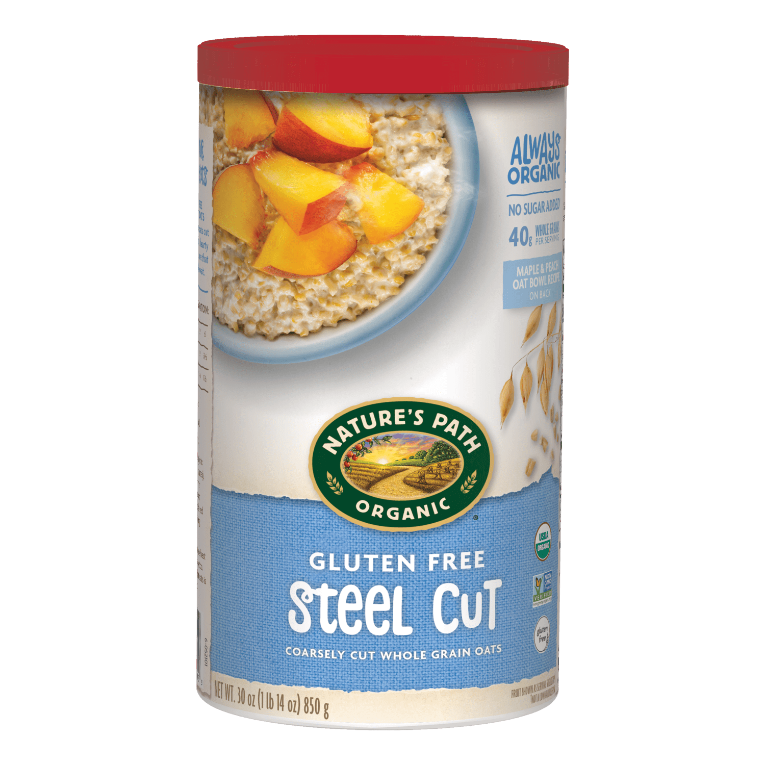 Steel-Cut-Oats-Gluten-Free-Oatmeal_729906510023