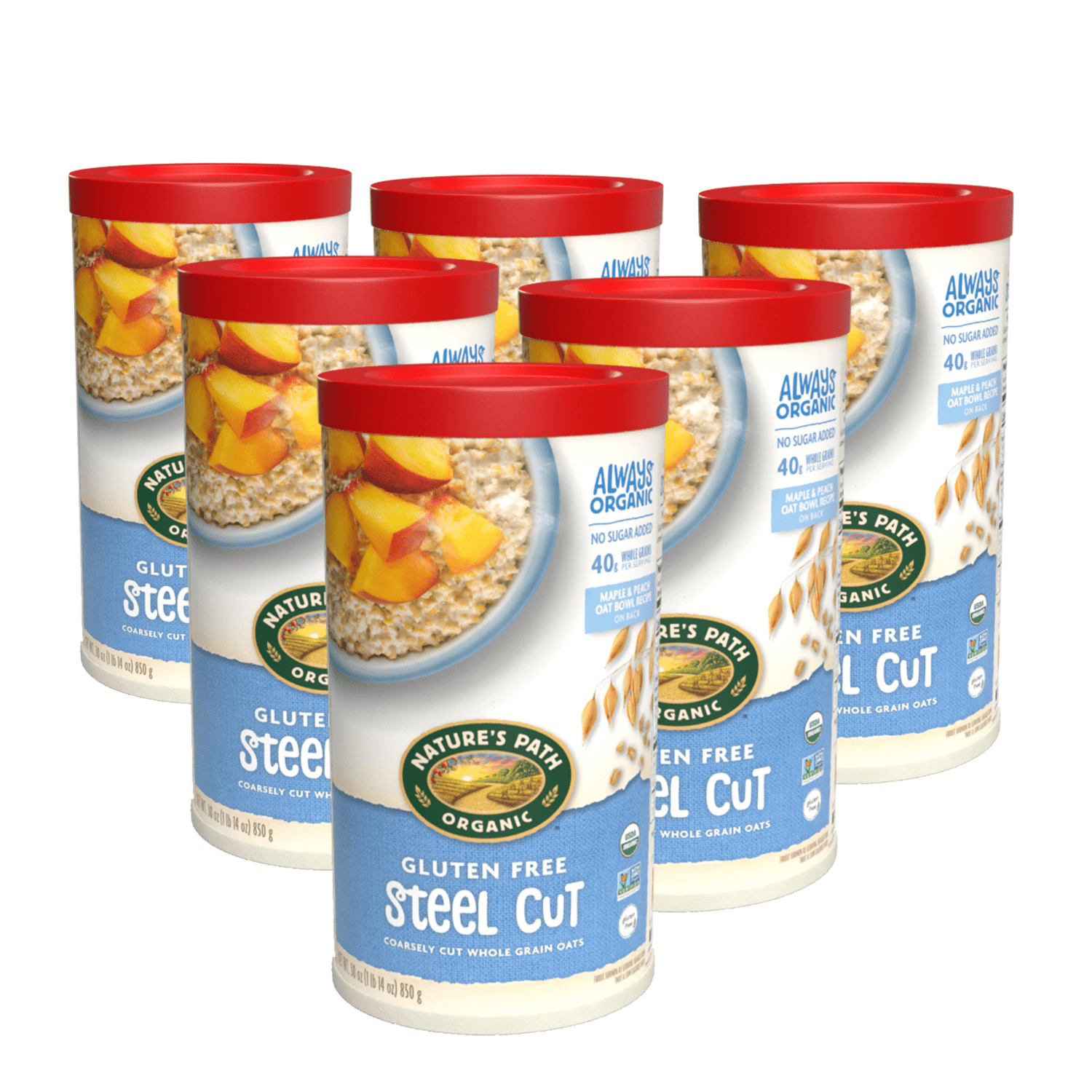 Steel-Cut-Oats-Gluten-Free-Oatmeal_729906510023