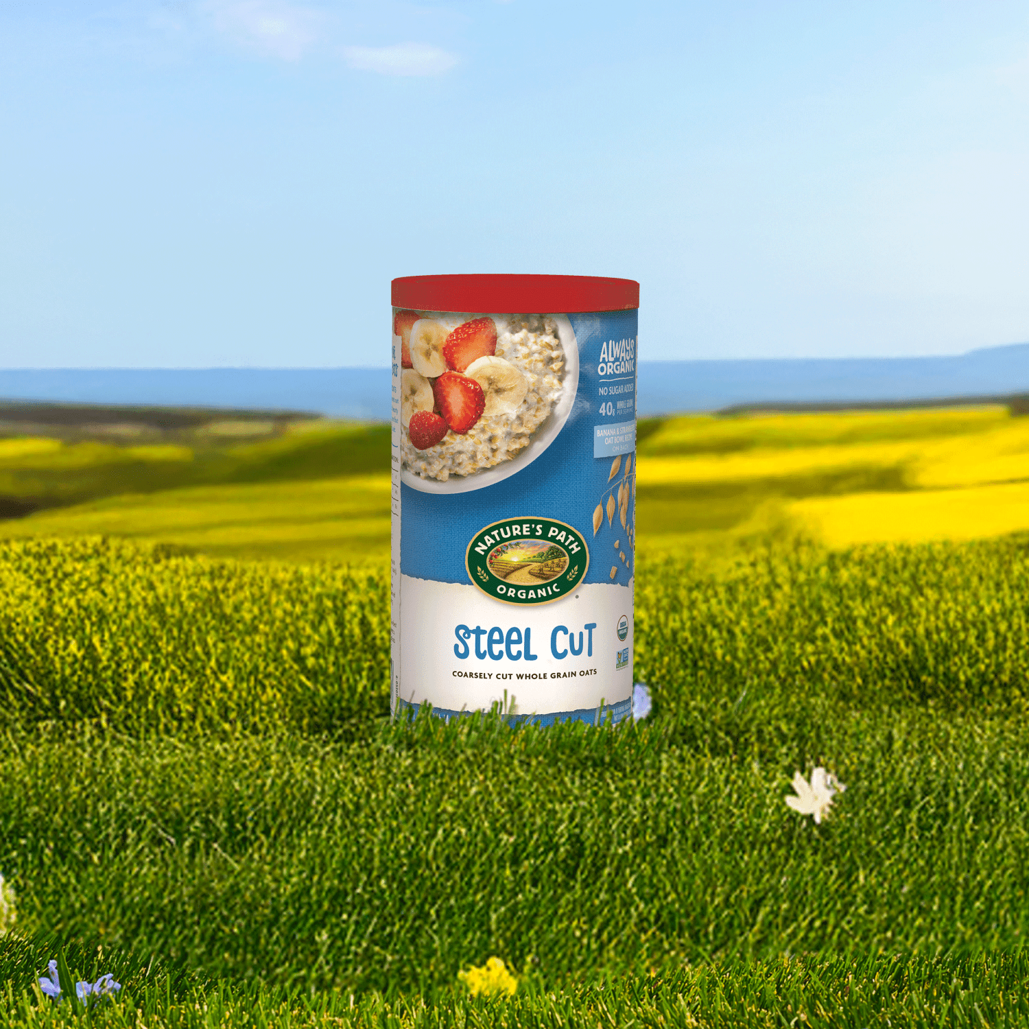 Steel-Cut-Oats-Oatmeal_729906119530