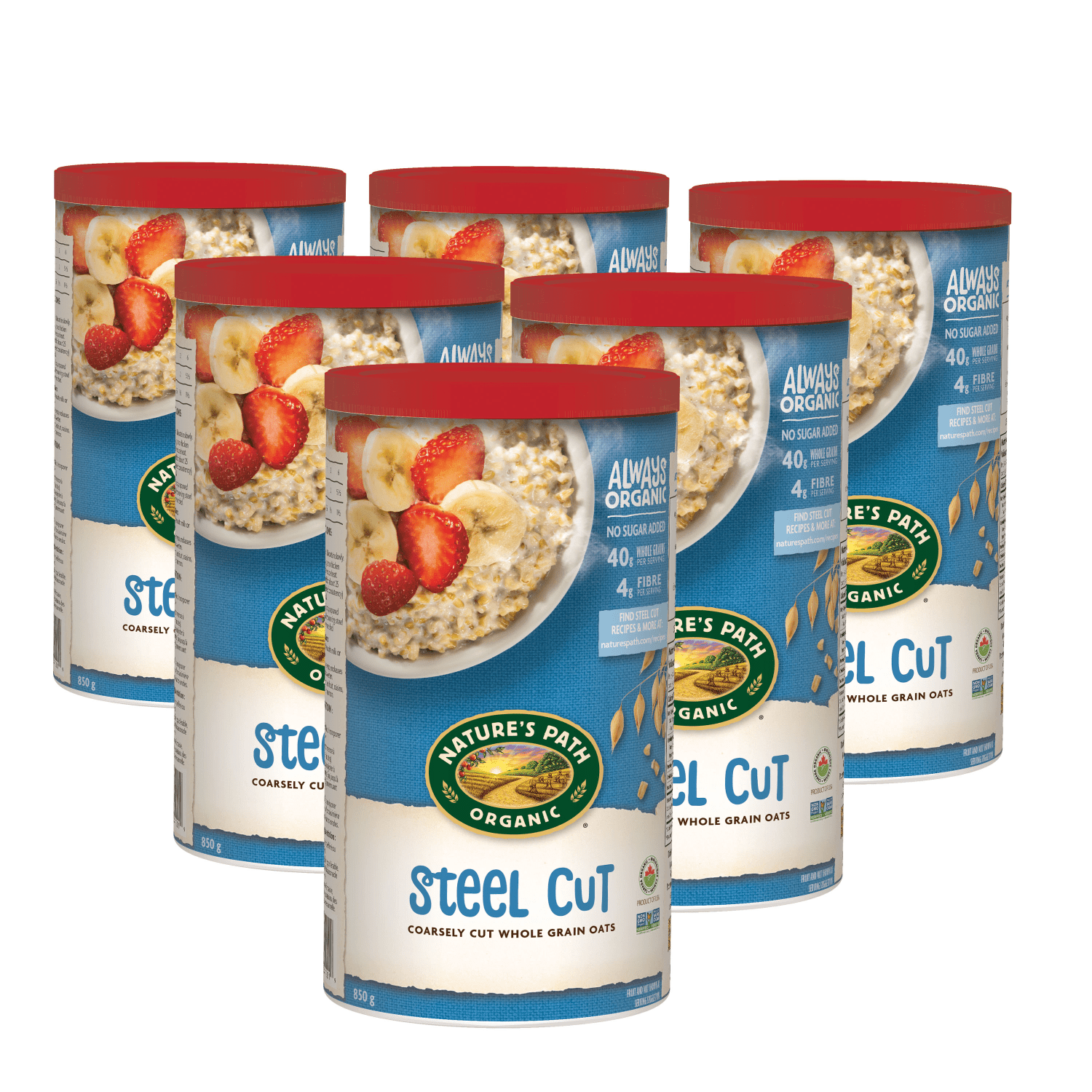 Steel-Cut-Oats-Oatmeal_729906410019