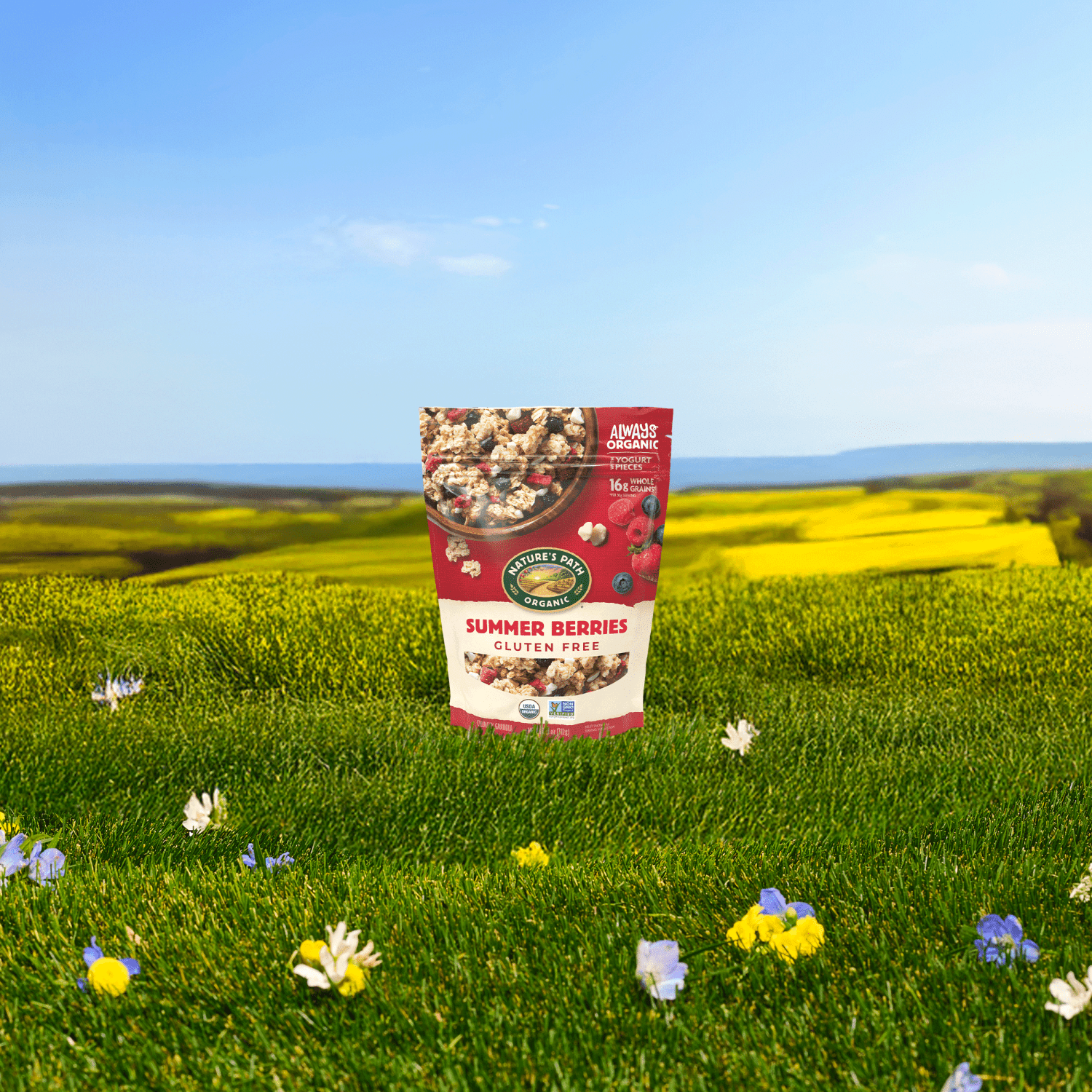 Summer_Berries_Gluten_Free_Granola_058449890393-89039U