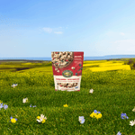 Summer_Berries_Gluten_Free_Granola_058449890430-89043