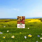 Sunrise_Crunchy_Cinnamon_Cereal_058449772064-77206