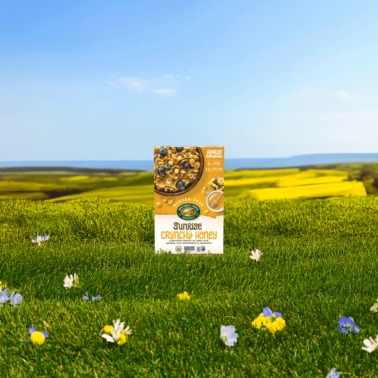 Sunrise_Crunchy_Honey_Cereal_058449772040-77204