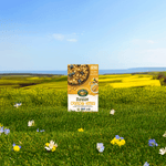 Sunrise_Crunchy_Honey_Cereal_058449772040-77204