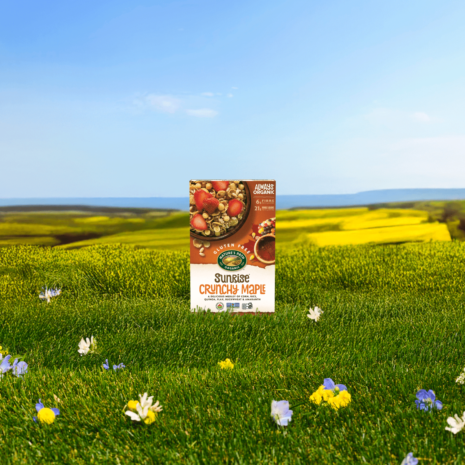 Sunrise_Crunchy_Maple_Cereal_058449771524-77152