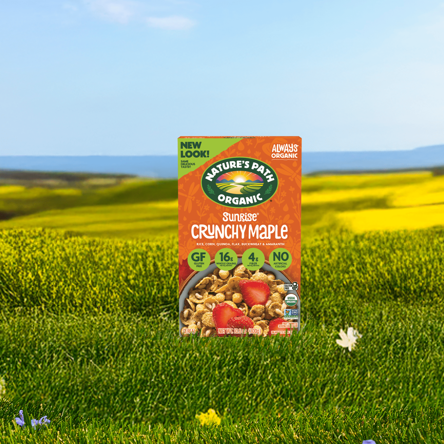 Sunrise_Crunchy_Maple_Cereal_058449771531-77153U