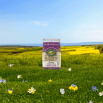 Sunrise_Crunchy_Vanilla_Cereal_058449181101-18110