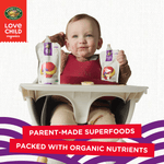 Superblends_Apples_Bananas_plus_Blueberries_Puree_058449252757
